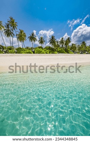 Amazing beach background for summer travel and vacation wellbeing. Beautiful blue sea and relaxing beach coast, tranquil palm trees, white sand. Colorful tropical nature landscape, peaceful inspire Royalty-Free Stock Photo #2344348845