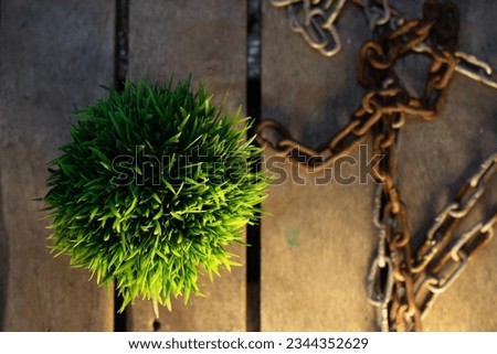 beautiful green mini plant in a wooden background, green plant in a pot, artificial plant in a pot isolated background, plant in a table. table plants