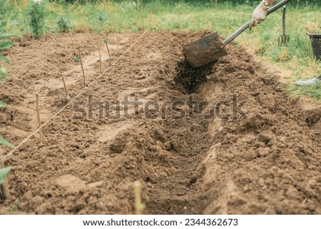 Female worker digs soil with shovel in the vegetable garden. Agriculture and tough work concept. High quality photo