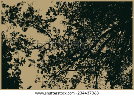 silhouettes of big pine trees in the forest . detailed vector illustration