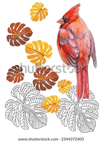 Red birds and tropical monstera plants. Can be used as a postcard, cover background, or for a web message. Vector illustration in a watercolor style.
