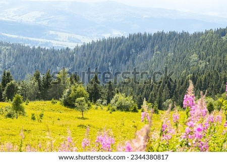 Picturesque mountains, Carpathians in Ukraine, mountains, landscape, beauty of nature screensaver, Zarar Berkut mountain in Ukraine