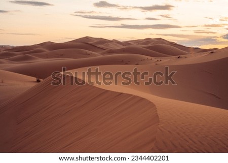 Sahara Morocco: Majestic desert expanse, offering golden dunes, captivating landscapes, and an enchanting experience under the starlit desert skies