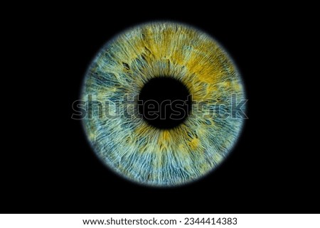 Close up of eye iris on black background, macro, photography Royalty-Free Stock Photo #2344414383