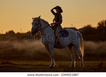Beautiful young woman with long hair in cowboy hat with the brown horse outdoors in the nature Royalty-Free Stock Photo #2344421887