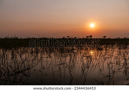 Telephoto shot of a beautiful sunset in the Okavango Delta in Botswana.