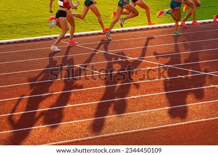 Middle Distance Race During Track and Field Event, Female Athletes on Athletics Track in Sunset light. Legs of athletes, red edit space. Sport photo for Worlds in Budapest and Games in Paris Royalty-Free Stock Photo #2344450109