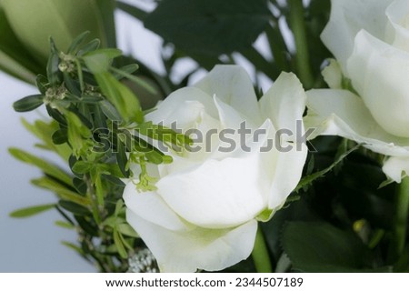 Cose up picture of flowers 