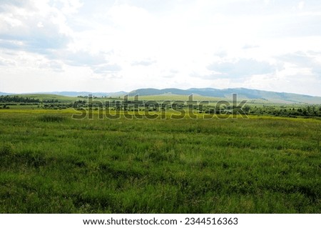 Endless steppe with tall green grass at the foot of a mountain range under a cloudy summer sky. Khakassia, Siberia, Russia.