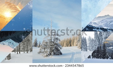 Winter is one of the four seasons of temperate zones. It is the season with the shortest days and the lowest temperatures. In areas further away from the equator, winter is often marked by snow. 
