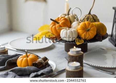 Idea for a beautiful autumn setting for thanksgiving family dinner or wedding. Orange pumpkin as decor. Cozy fall home atmosphere.