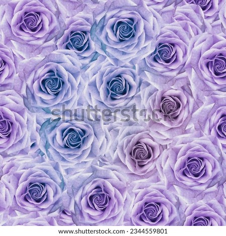 Seamless floral  background. Flowers roses. Close up.  Nature.