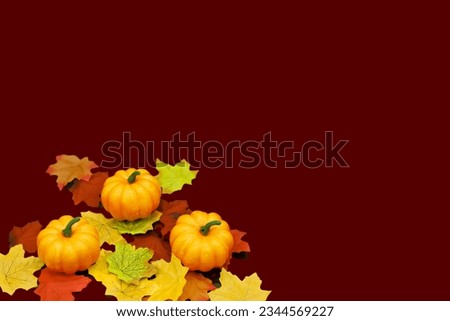 Halloween composition - three pumpkins and colorful leaves on a maroon background in the left bottom corner