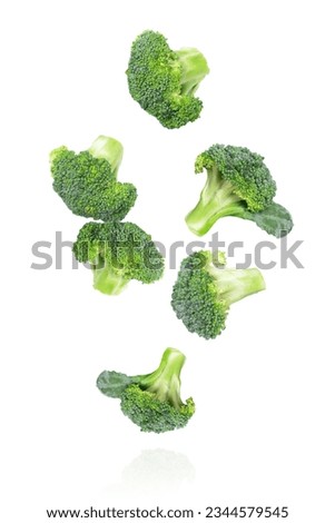 Fresh raw Broccoli flying in the air isolated on white background Royalty-Free Stock Photo #2344579545