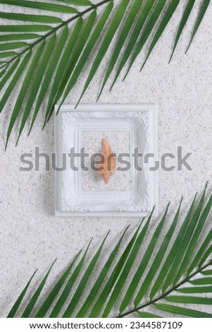 Summer white picture frame with seashell on with a sand background, palm tree and sand. Tropical vacation or holidays concept. Summer memories.
