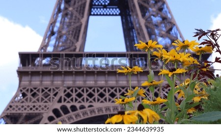 Yellow flowers, with Eiffel tower in the background on a cloudy day, Paris