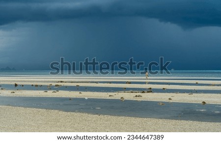 Woman in swimsuit walking on beach ,background is sky with storm clouds approaching with rain over dark cloudy sea. Rain clouds or storm clouds before the storm Samui Thailand