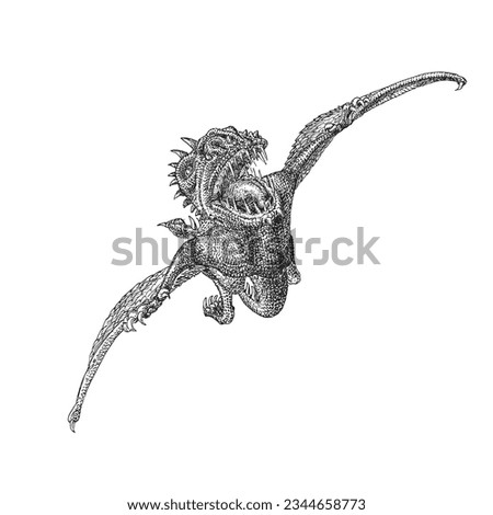 Pterodactyl, Jurassic Pterosaur in flight, vector illustration in engraving style, flying dragon hand drawn sketch