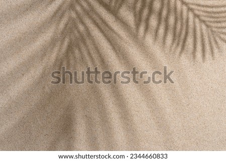 Aesthetic Palm Leaf on Shadow on Sand Background Texture, Copy Space, Minimal Summer Concept Royalty-Free Stock Photo #2344660833