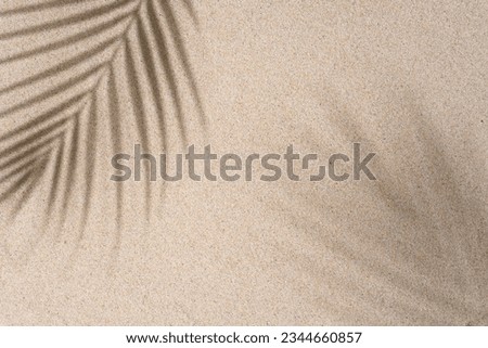 Aesthetic Palm Leaf on Shadow on Sand Background Texture, Copy Space, Minimal Summer Concept Royalty-Free Stock Photo #2344660857