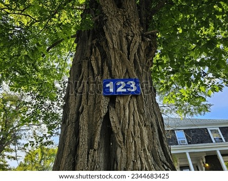 A civic number 123 attached to a tree trunk.