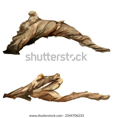 Hand drawn watercolor aquarium bog wood, driftwood branch, trunk. Marine exotic underwater illustration. Isolated object on white background. Design for shops, print, card, wall art, brochure, textile