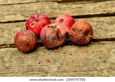 Several apples spoiled with rot lie on an old table made of planks.