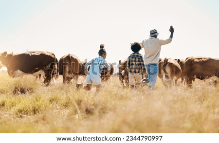 Animal, father and children on family farm outdoor with cattle, sustainability and livestock. Behind African man and kids walking on a field for farmer adventure or holiday in countryside with cows Royalty-Free Stock Photo #2344790997