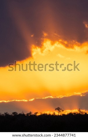African Sunset as a background