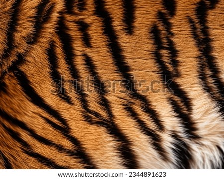 A Closed-Up Shot of Tiger Fur Royalty-Free Stock Photo #2344891623