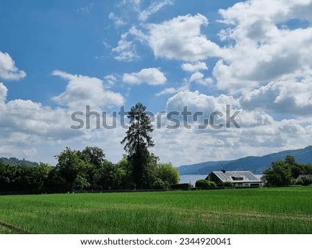 lonely house by lake in summer day