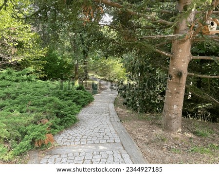 Atatürk Arboretumu ender bitkiler bahçesi - Atatürk Arboretum rare plants forest