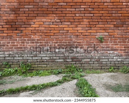 old rough brickwork wall and cracked and sloped sidewalk with green weeds
