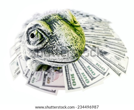 Toad and US dollars isolated on white