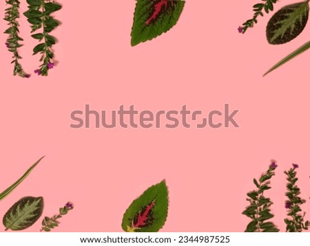 Assorted leaves and flowers border with copy space. Floral frame made of leaves and flowers isolated on pink salmon background. Green leaves, purple flowers. Floral card design. Top view, flat lay.