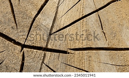 round timber, in the photo wooden logs stacked in stacks close-up.