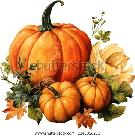 Watercolor painting autumn pumpkin still life for celebration design. Autumn harvest. Vegetarian raw food. Royalty-Free Stock Photo #2345016273