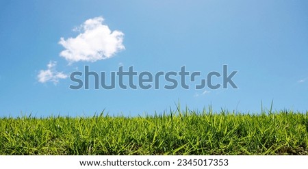 beautiful blue sky and meadow Royalty-Free Stock Photo #2345017353