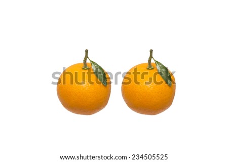 Citrus fruit with leaves on a white background