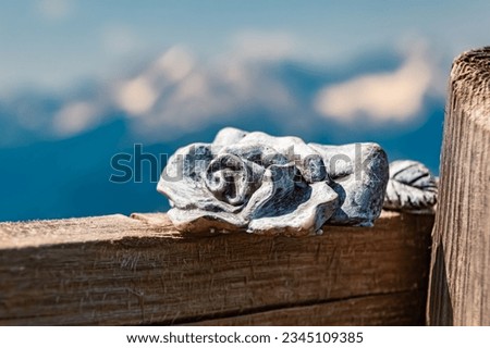 Details of a stone rose at Mount Wank, Garmisch-Partenkirchen, Bavaria, Germany