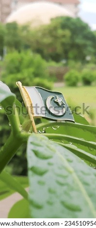 pakistan flag pakistan independence day flag
