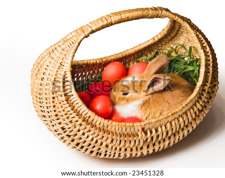 Easter bunny with red eggs in basket isolated on white background