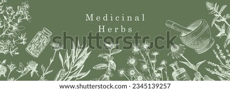 Medical Herbs. Hand-drawn illustration of herbs and objects. Ink. Vector Royalty-Free Stock Photo #2345139257