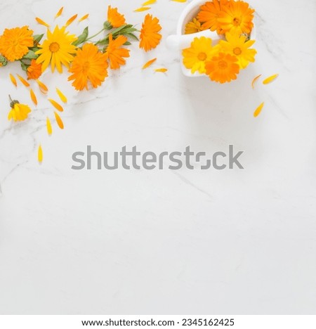 orange marigold flowers on white marble background