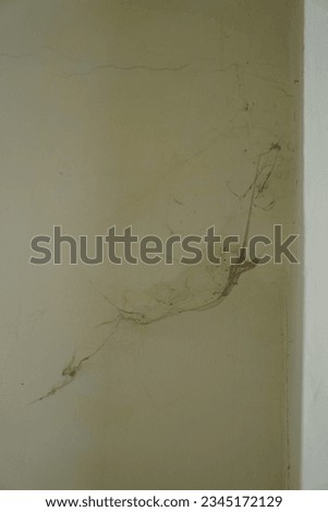Cobweb on wall with dust, antihieginic and abandoned