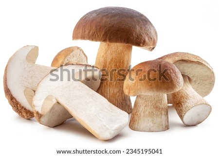 Group of porcini mushrooms isolated on white background.  Royalty-Free Stock Photo #2345195041