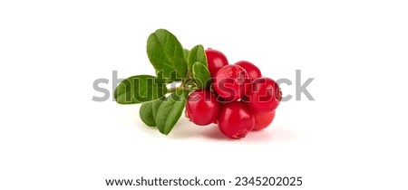 Fresh wild lingonberry berries with leaves, isolated on white background Royalty-Free Stock Photo #2345202025