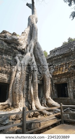 Temple of Southeast Asia, Cambodia and Laos, Angkor Wat, Tomb Raider Temple Royalty-Free Stock Photo #2345203889
