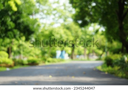 Fresh green lawns in the park. Blur nature bokeh green park trees in morning.