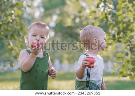 Two kids toddlers and autumn harvest of apples. Children boy and basket of ripe red apples in garden close-up and copy space..